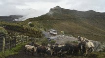 Nevado del Ruiz: pérdidas económicas del turismo hasta en un 95% por actividad volcánica