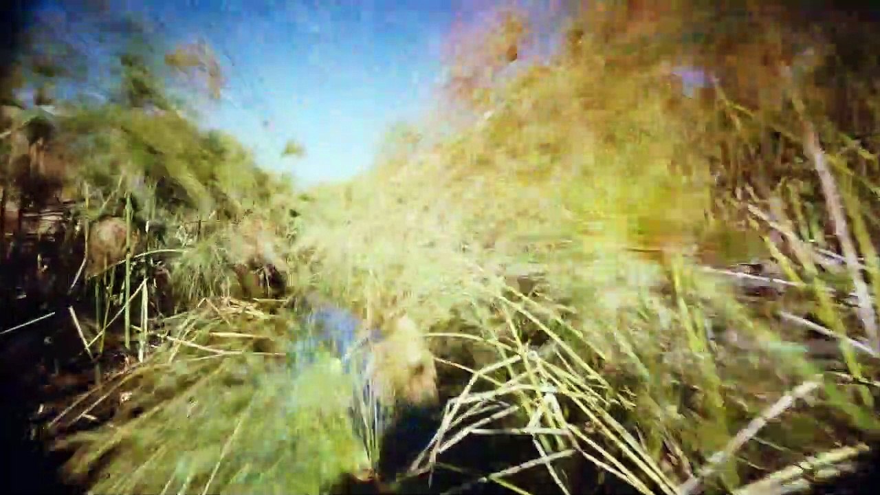 African Adventure 3D Trailer | Official Version