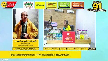 รู้ทันอาการ ฮีทสโตรกแมว EP.1 : FM91 คลินิกสัตว์เลี้ยง : 22 เมษายน 2566