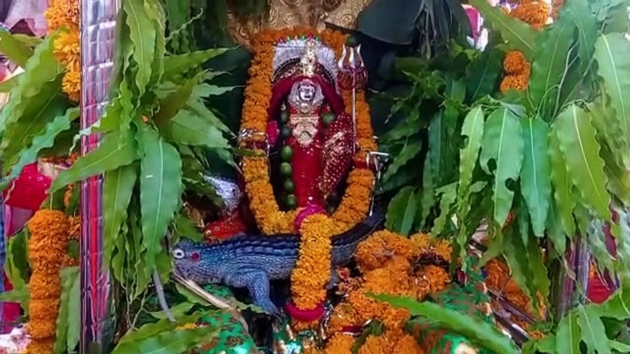 शोभायात्रा में गूंजे मातारानी के जयकारे
