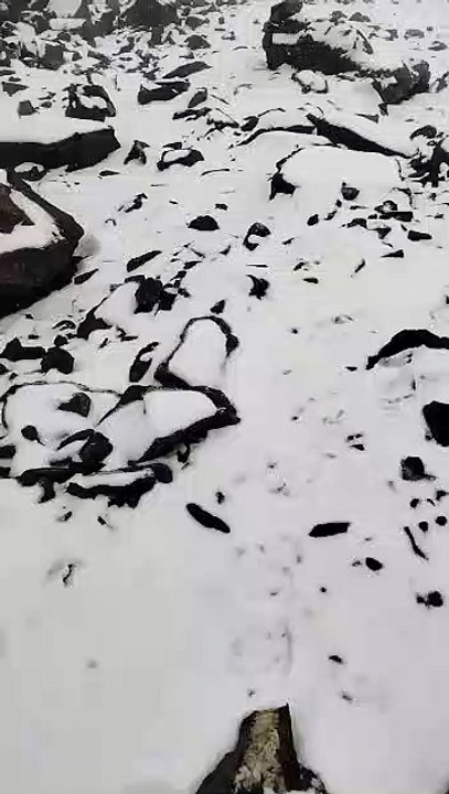 nieve vallecitos