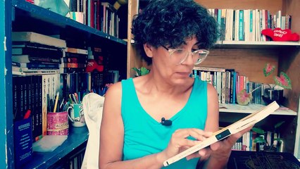 Viagem pitoresca pelos rios Paraná etc., de C. Bartolomé Bossi | Resenha #51 por Dry Moraes