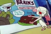 Pinky and the Brain Pinky and the Brain S03 E028 Big in Japan