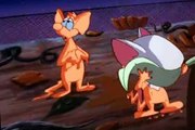 Pinky and the Brain Pinky and the Brain S03 E025 A Pinky and the Brain Halloween