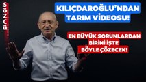 Kemal Kılıçdaroğlu'ndan Tarım Videosu! Nasıl Çözeceğini Aşama Aşama Anlattı