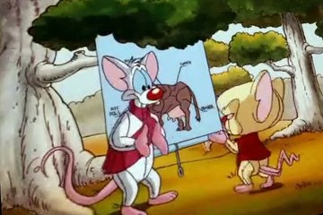 Pinky and the Brain Pinky and the Brain S03 E037 The Megalomaniacal Adventures of Brainie the Poo
