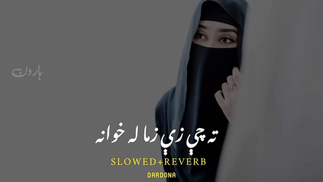 Ta_che_ze_zama_la_khwana_muhabat_de_rata_preda||tiktok_viral_song_2023|poshto_new_Tappy_2023_tiktok(360p)