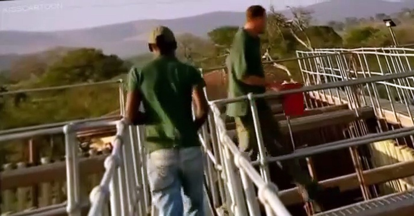 Prehistoric Park E004