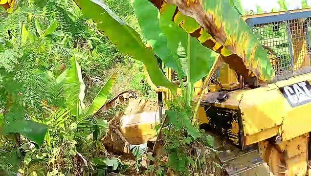 Mobile Bulldozers: Building Roads for Banana Plantations || Bulldozer D6R XL