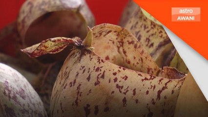 Aidilfitri: Lemang periuk kera kembali menjadi hidangan tarikan