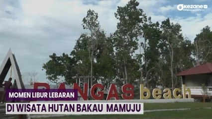 Eksotiknya Wisata Hutan Bakau Rangas Beach di Mamuju