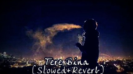 Tere Bina - Ibtida  [Slowed and Reverb]
