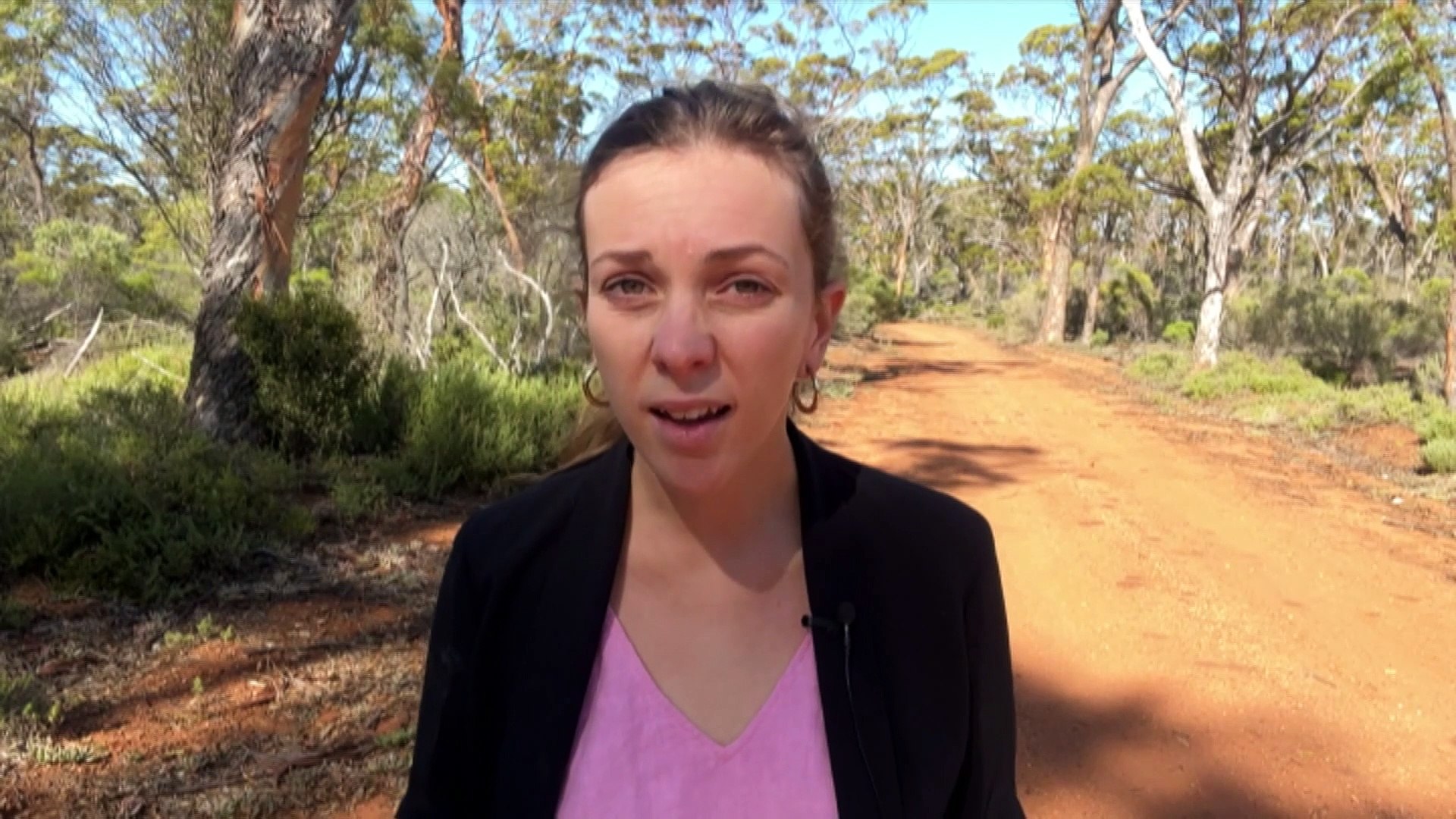 ⁣Fears lithium exploration will put Carnaby's cockatoos at risk