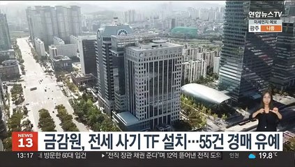 금감원, 전세 사기 TF 설치…55건 경매 유예