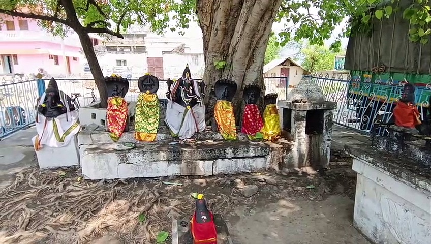 WATCH : அரசமரத்தில் தோன்றிய விநாயகர் கண்கள் - திருச்சி அருகே கோவிலில் வினோத சம்பவம்