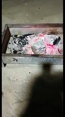 317 - قصة حقيقة السوريتين في عمان والأمريكي في البحرين !! سوالف طريق