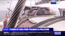 BFMTV a embarqué à bord du bateau Tara, où les scientifiques étudient l'impact de la pollution terrestre dans la mer