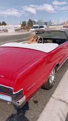 Funny Content Of Creator Plz Support Me