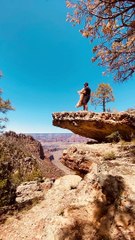 Cão Shurastey: Uma singela homenagem!