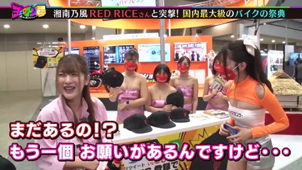 ヨエロスン 湘南乃風「RED RICE」参戦！日本最大級の祭典に突撃！！