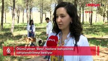 Ölümü yenen 'Beto', hastane bahçesinde sahiplendirilmeyi bekliyor