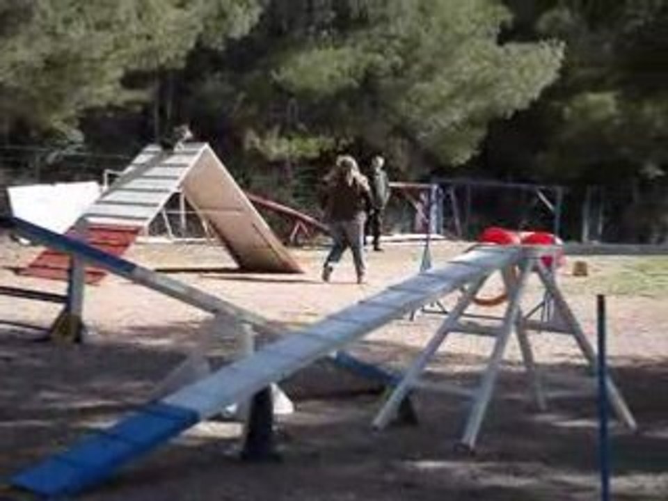 agility bambou