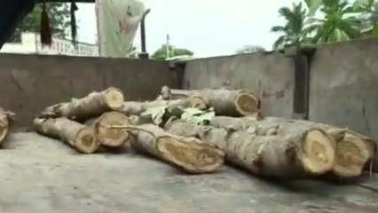 డోర్నకల్: అక్రమంగా తరలిస్తున్న కలప పట్టివేత.. విలువెంతో తెలుసా..!