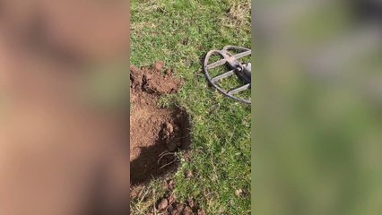 Metal detecting enthusiast has discovered a rare 15th century gold ring