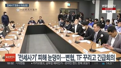 '전세사기' 피해에 변호사 무료상담…개인회생도 도움