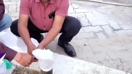 फर्जी पेट्रोल पंप को पूर्व विभाग ने किया सीज, पंप स्वामी सहित दो सेल्समेन के खिलाफ़ मुकदमा दर्ज