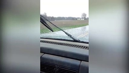 Quand ton chien s'en prend aux essuie-glaces de la voiture