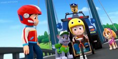 Paw Patrol: Marshall & Chase on the Case Paw Patrol: Marshall & Chase on the Case E001 Windows Title 03_01