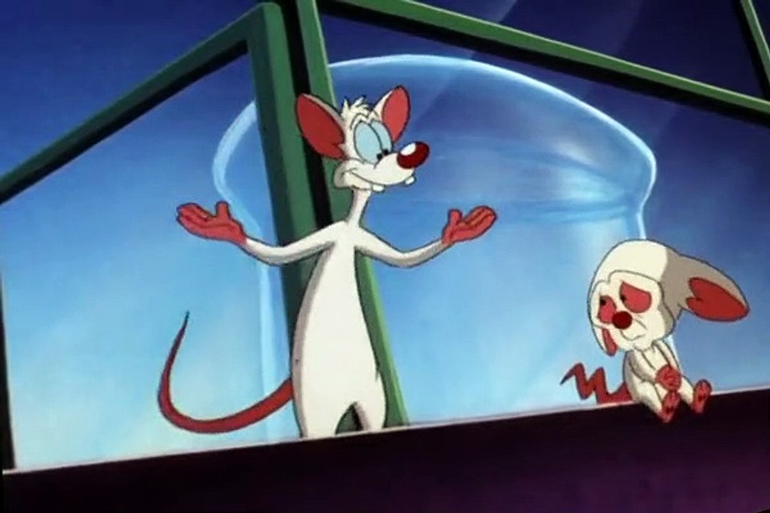 Pinky and the Brain S03 E48