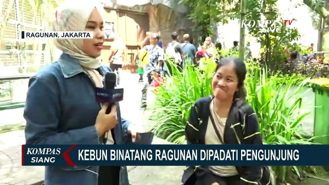 Tembus Angka 14 Ribu Orang, Pengunjung Kebun Binatang Ragunan Meningkat pada Libur Lebaran!