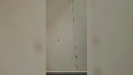 فيديو متداول لتبادل إطلاق النار واستمرار الاشتباكات في #الخرطوم  #العربية #السودان