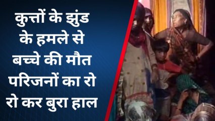 मुरादाबाद: आवारा कुत्तों के झुंड ने ली 7 साल के मासूम की जान