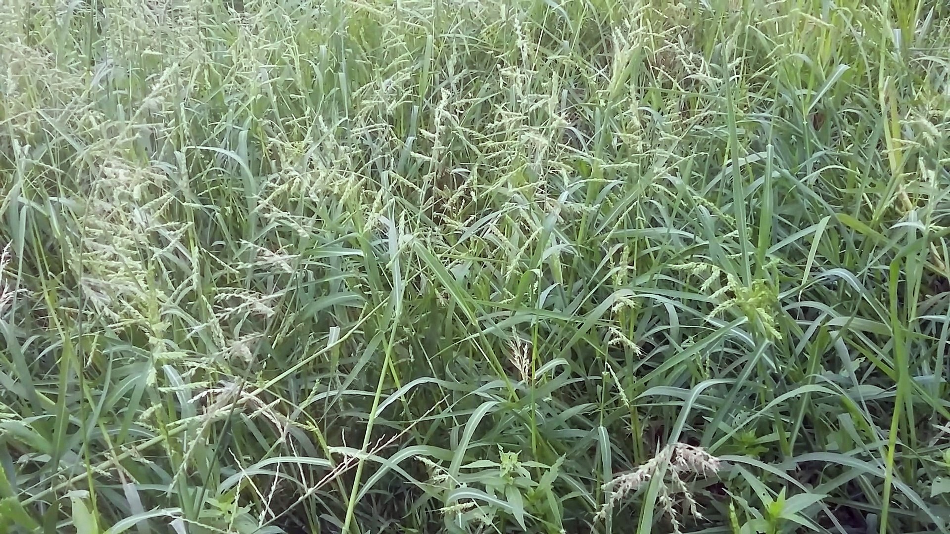 beautiful travel videos episodes 3