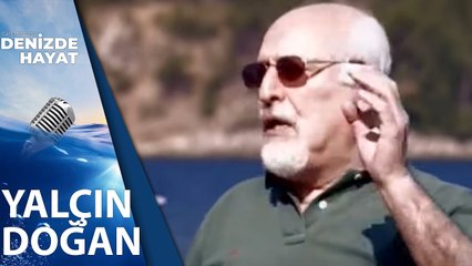 Yalçın Doğan Geçmişten Günümüze Gazeteciliği Anlatıyor | Denizde Hayat