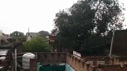 Jhansi News : तेज आंधी के साथ हुई बारिश, गर्मी से मिली राहत