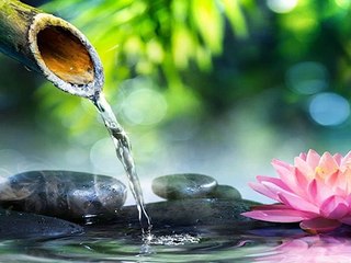 RELAXING FLUTE MUSIC I  Sleep Music I Water Sound I Relax Music I