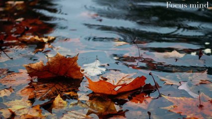 SOOTHING RAIN  To Sleep  Instantly  I  Rain Sound for Sleep I Beautiful Rain with Melody