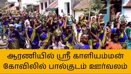 தி மலை:ஆரணி காளியம்மன் கோவிலில் பால்குடம் ஊர்வலம்!