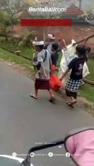 Tradisi Ngambeng tersebut dalam rangkaian menjelang Puja Wali ring Pura Samuan Tiga Bedulu, Gianyar. Tradisi tersebut dilakukan oleh Pengayah (peserta) anak-anak yang masih duduk di bangku kelas 6 SD ke bawah.