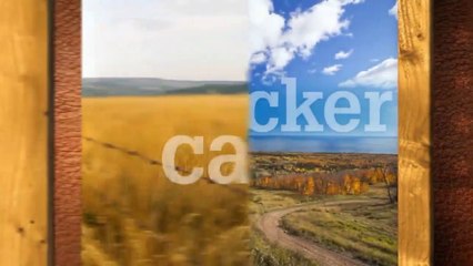 Tucker Carlson Today -  Elon Musk Full Interview HD