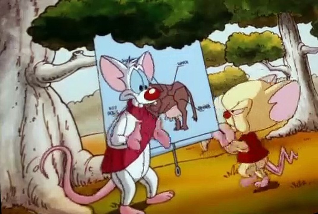 Pinky and the Brain S03 E37