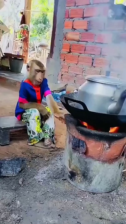 Masak air