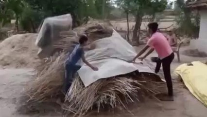 सीधी: मौसम के बदले मिजाज से किसानों की बड़ी चिंता- देखें ख़बर