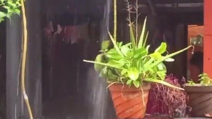 వరంగల్ ఈస్ట్: నగరంలో జోరు వర్షం.. జలమయమైన రహదారులు