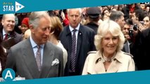 Charles III et Camilla “fusionnels” : confidences d'un célèbre homme politique français