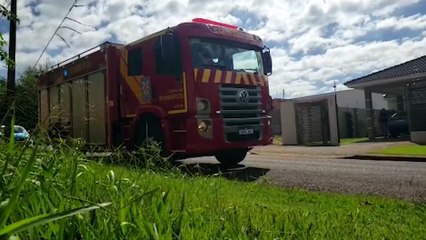 Cachorro fica com a pata presa em estrutura e Bombeiros são acionados para resgatá-lo